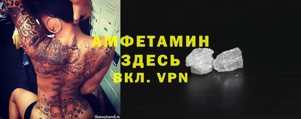 молекула духа Козельск