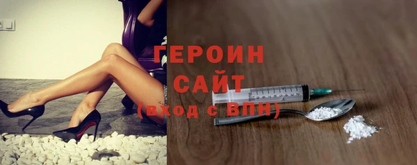 гидра Кодинск