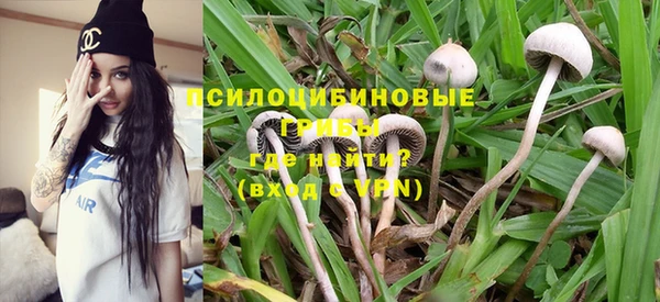 крисы Костерёво
