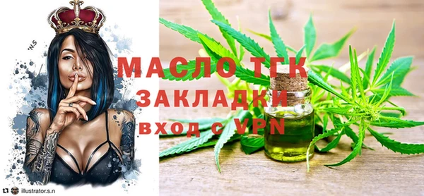 гидра Кодинск