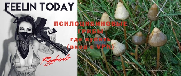 PSILOCYBIN Киреевск