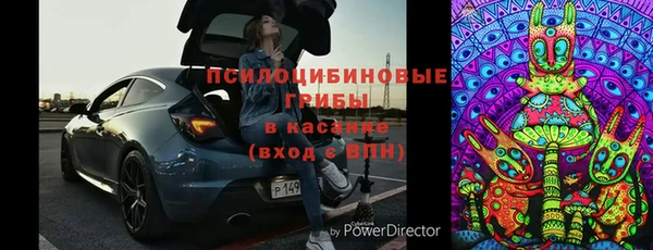 ГАЛЛЮЦИНОГЕННЫЕ ГРИБЫ Коряжма
