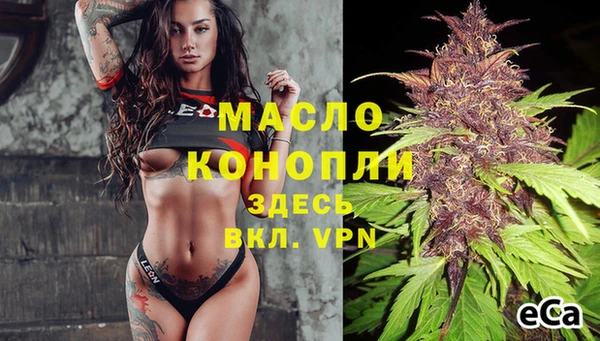 гидра Кодинск