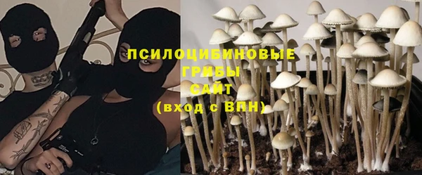 молекула духа Козельск