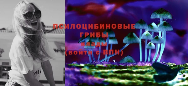 крисы Костерёво